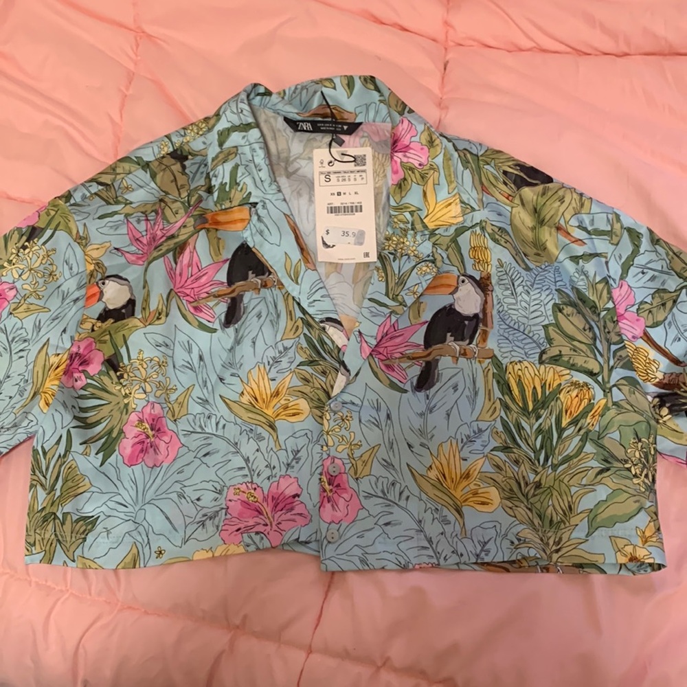 Zara silk button down crop blouse